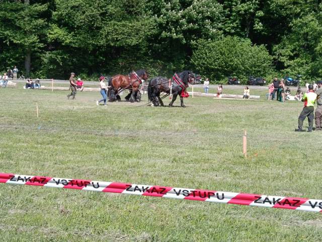 IMG_20260523_151411